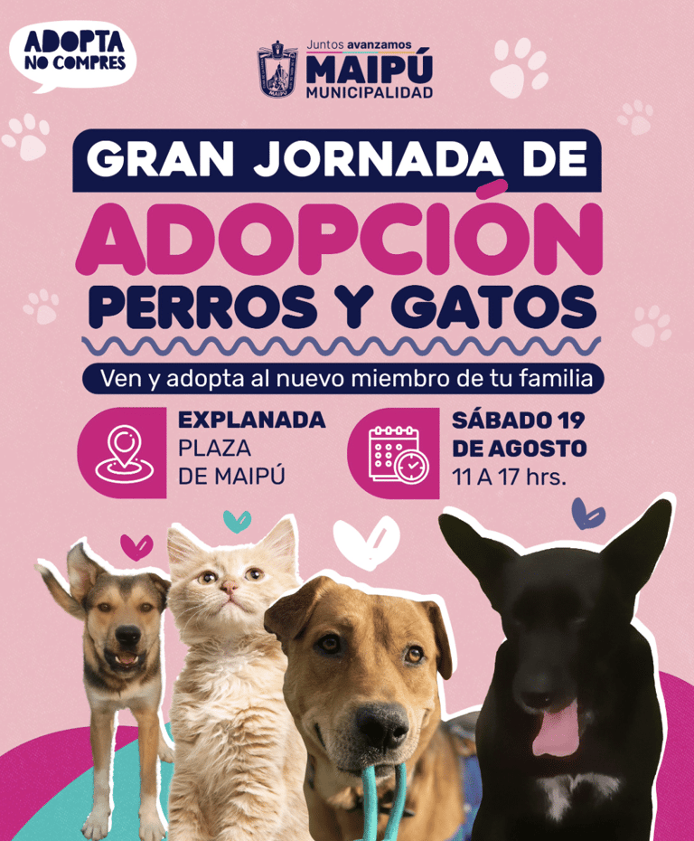 Nueva jornada de adopción de perros y gatos se llevará a cabo en Maipú