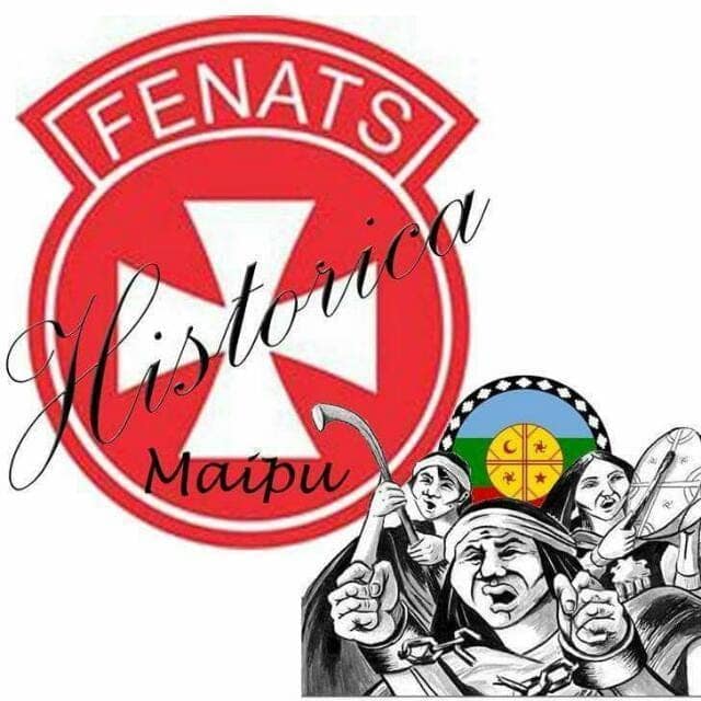 fenats histórica maipú logo