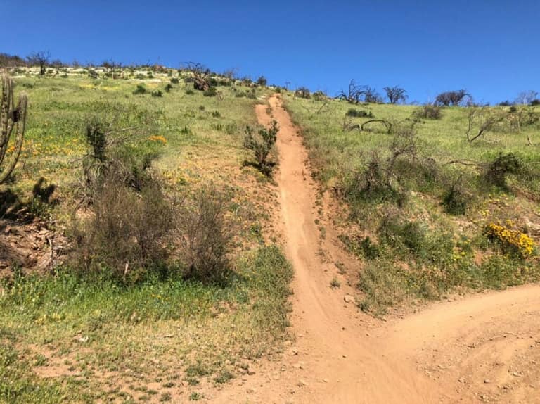 Quebrada de la Plata antes de la masiva llegada de motoristas, foto por Ariel Moreira