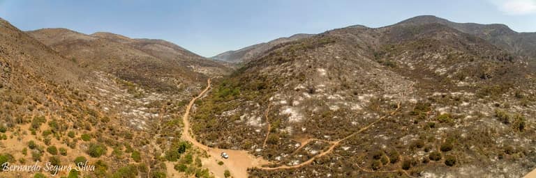 Santuario Quebrada de la Plata luego de incedio de 2016. Fotografía de Bernardo Segura Silva.