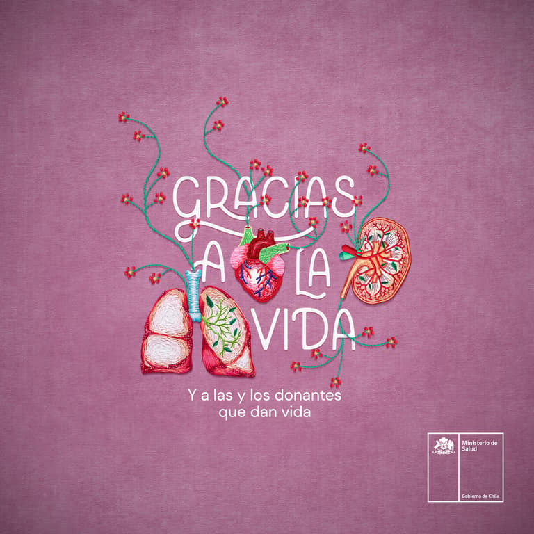 Imagen principal de campaña Minsal. Incluye los 3 bordados de Paula Huenchumil