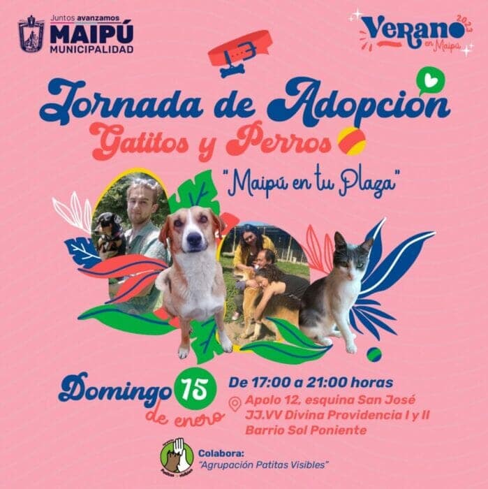 Municipalidad de Maipú y Agrupación Patitas Libres anuncian jornada de adopción de gatos y perros