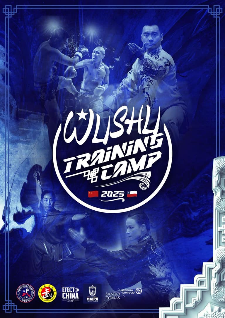 Wushu Training Camp 2025 en Maipú