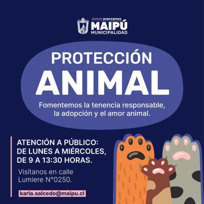 oficina animal maipú