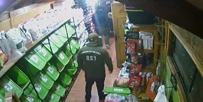 Falsos carabineros asaltan local en Maipú: víctimas hacen llamado a estar alertas
