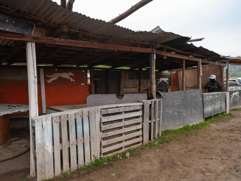 «Se acaban las carreras de perros en Maipú»: municipio clausura y demuele canódromo ilegal en Rinconada