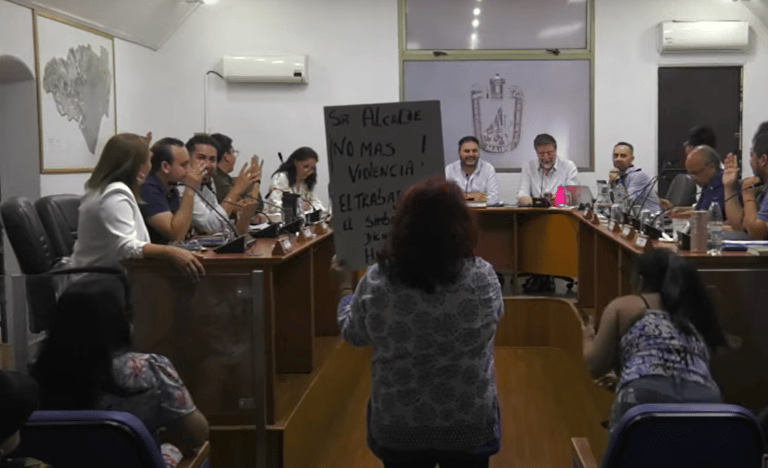 Feriantes vuelven al Concejo Municipal