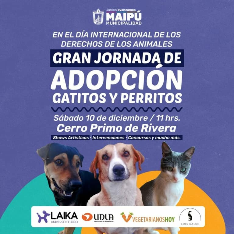 jornada adopción animales