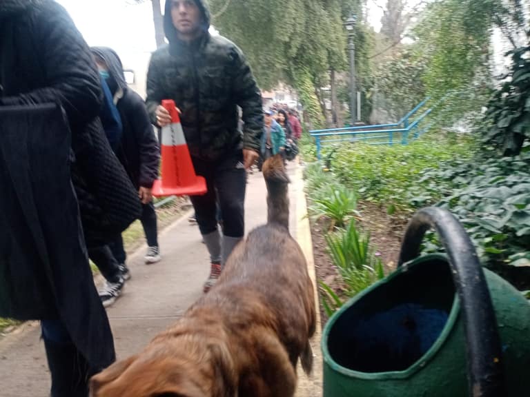 Feriantes irrumpen en el municipio de Maipú