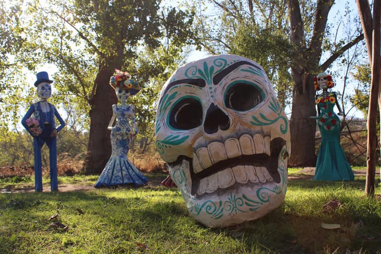 catrina 5 metros