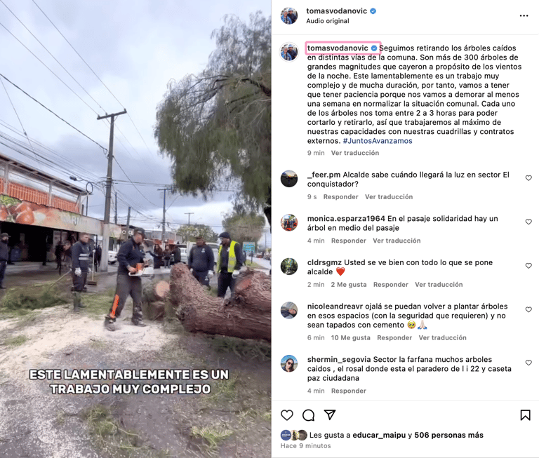 vodanovic caida de arboles en maipu