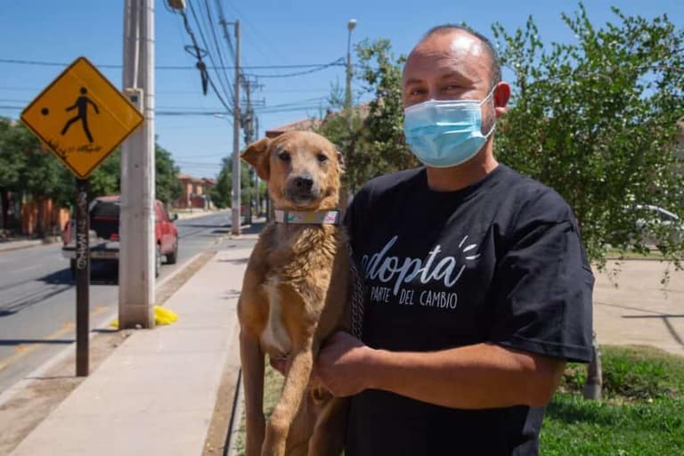 Fundación Huellas Unidas: la ONG maipucina que se dedica al rescate animal