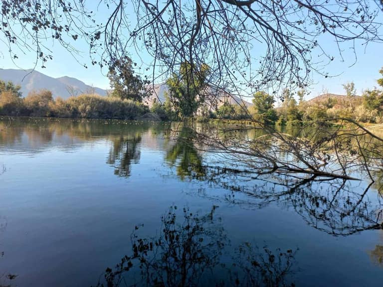 Quebrada de La Plata: proyecto de mega carretera amenaza al pulmón verde de Maipú
