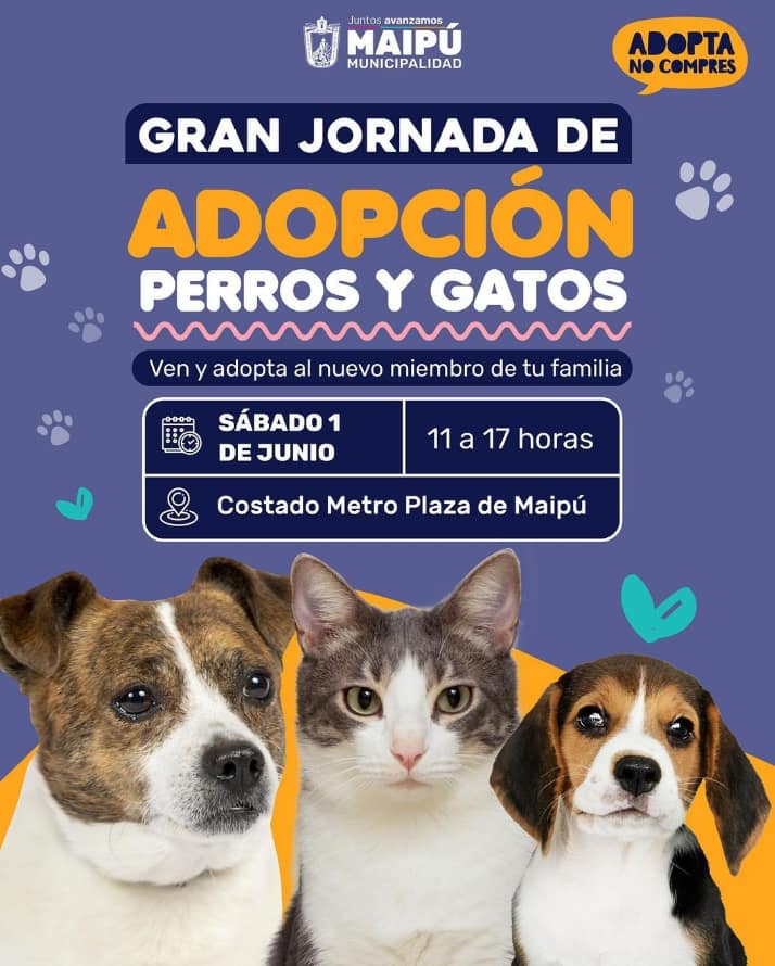 Declaracion-Municipios-Vacunacion-semana-16-al-20-agosto-1