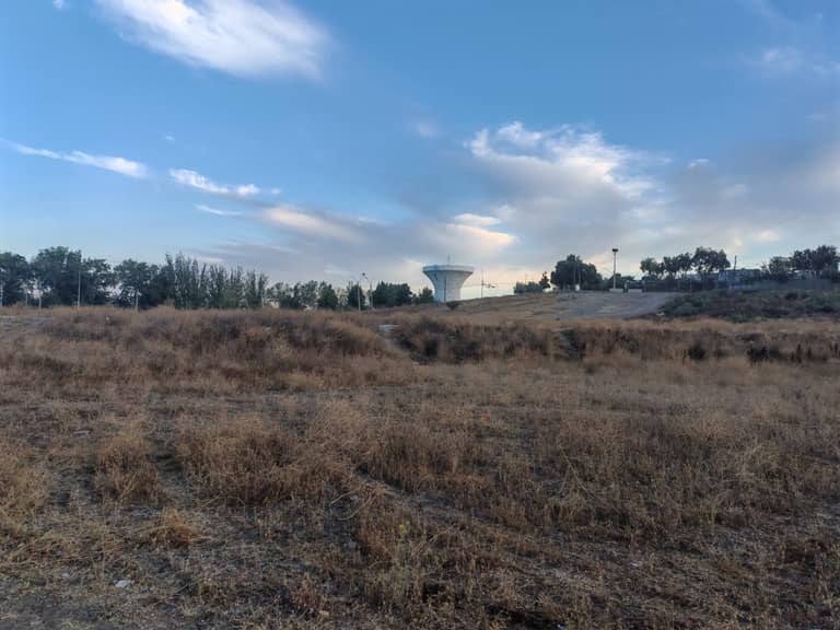 Adiós al campamento Japón: Maipú convierte 11 hectáreas abandonadas en su nuevo pulmón verde
