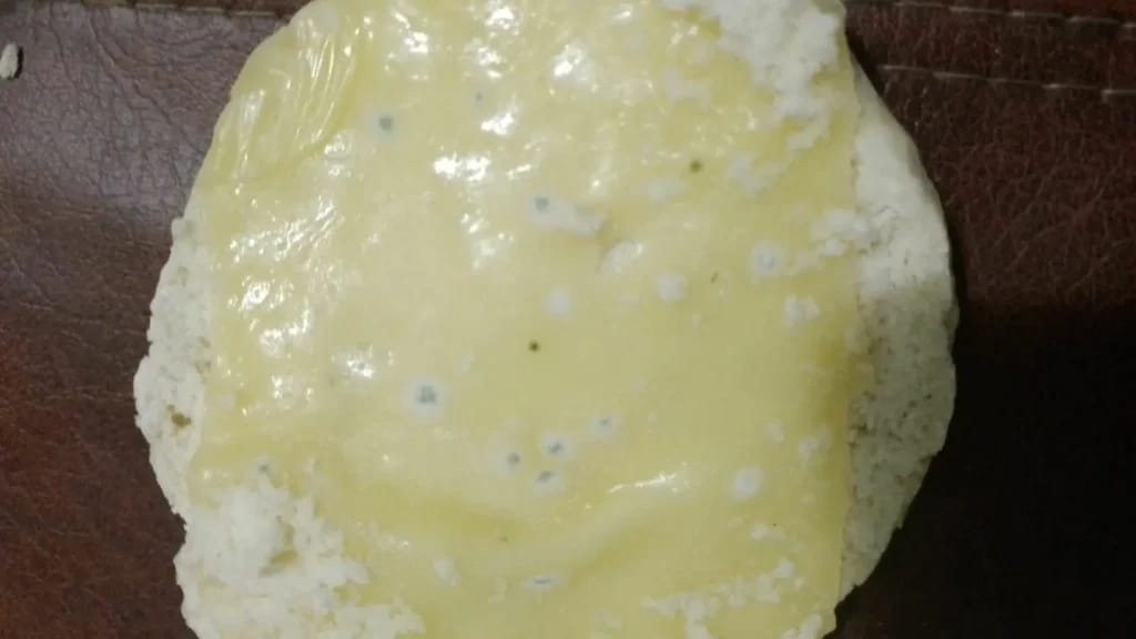 pan con hongos