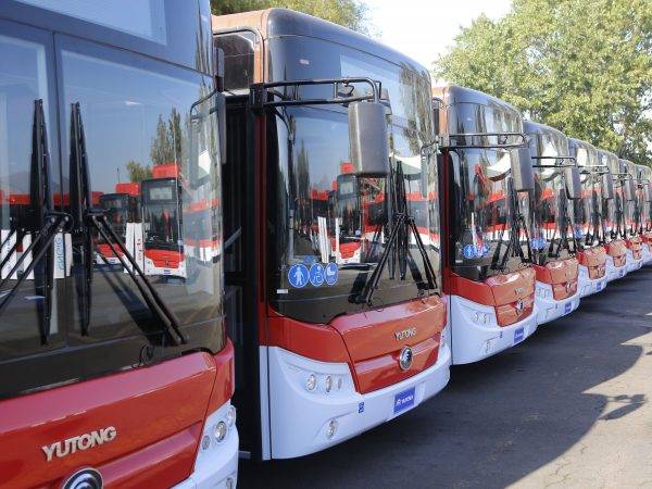 transporte STP documentos