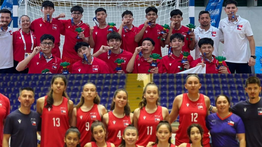 Liceo Nacional y Boston College de Maipú cierran su gran participación en sudamericano escolar con 3 medallas para Chile