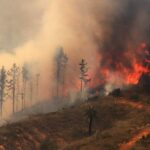 Incendios forestales: Onemi informa sobre 9 comunas de la zona central en alerta roja 1 incendios forestales