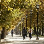 Metro de Santiago acordó modificar trazado de Línea 7 para no afectar al Parque Forestal 1 parque forestal metro de santiago