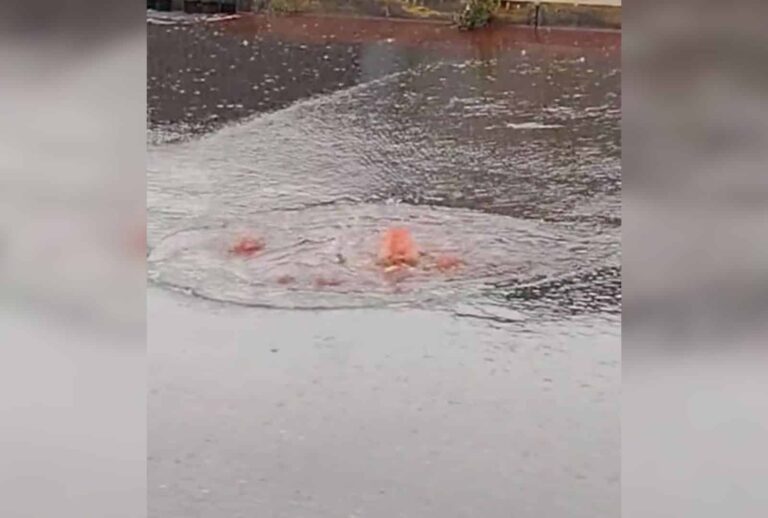 agua roja maipu