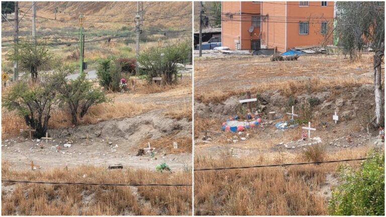 cementerio ilegal mascotas