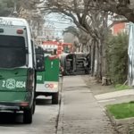 colectivo