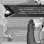 contraloria maipu byn
