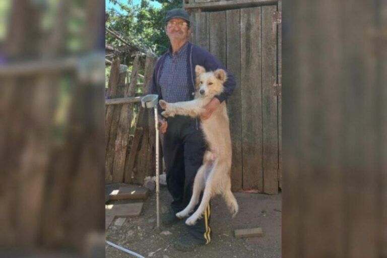 José Jilberto Huaiquil Faundez donación sangre
