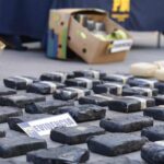 Banda trasnacional internaba droga en cajas de plátanos y la guardaba en bodega de Maipú 1 plátanos droga pdi