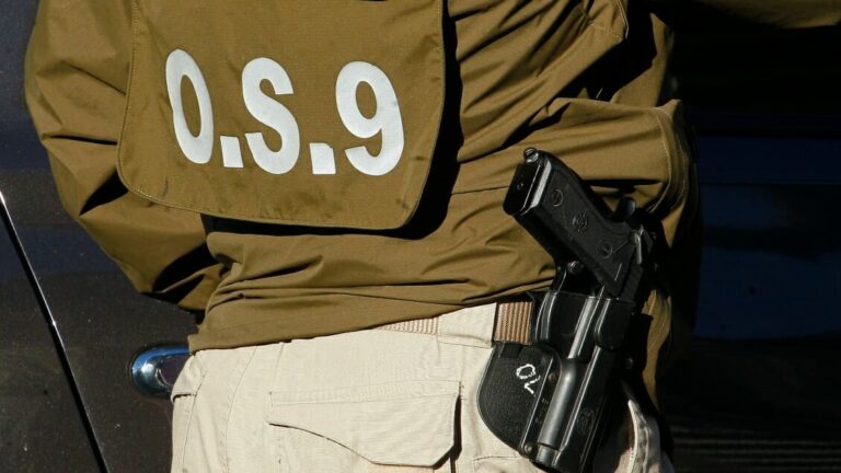 carabineros detuvo sujeto robo celulares