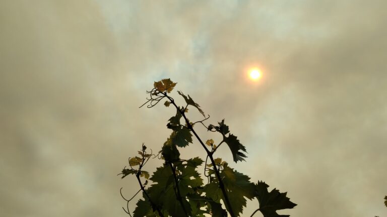 humo en maipu incendio