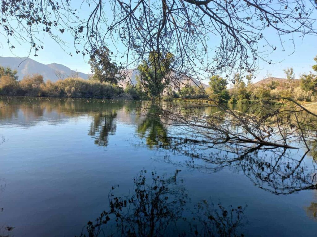 Quebrada de La Plata: proyecto de mega carretera amenaza al pulmón verde de Maipú 1 quebrada 5