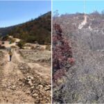 Alerta vecinos: Santuario Quebrada de la Plata de Maipú nuevamente en peligro 1 quebrada de la plata