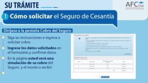 seguro cesantia online