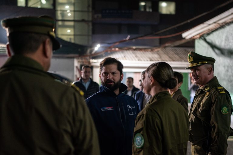 plan enjambre boric seguridad