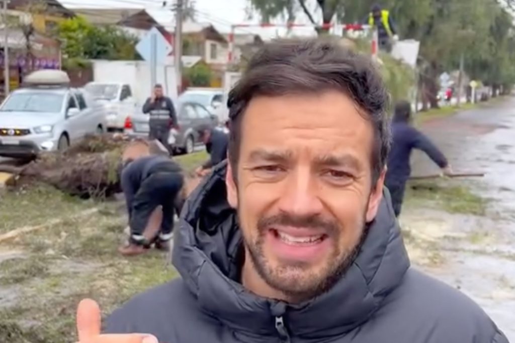 vodanovic caida de arboles en maipu