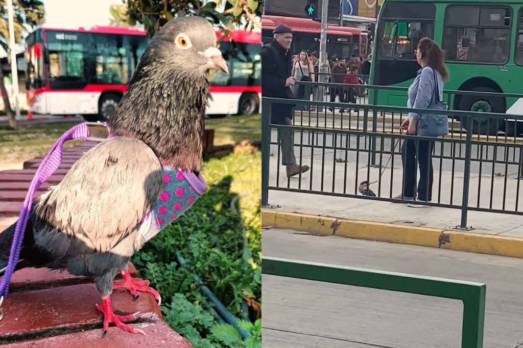 Imagen destacada
