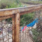 Encuentran cadáver amarrado en canal del Camino a Melipilla: Carabineros investiga el hallazgo 1 basura en el canal santa marta