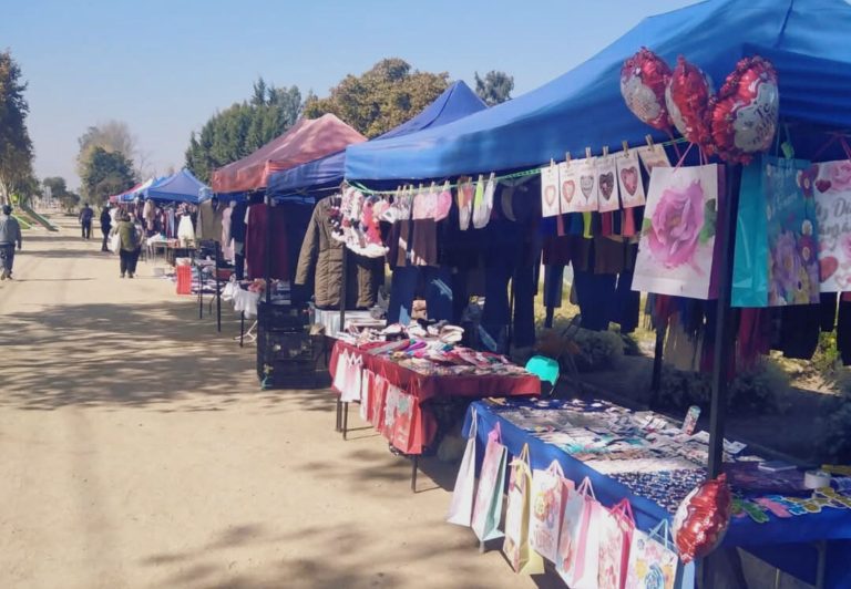 feria de servicios en maipu