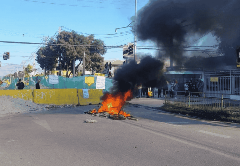 Manifestación en Longitudinal