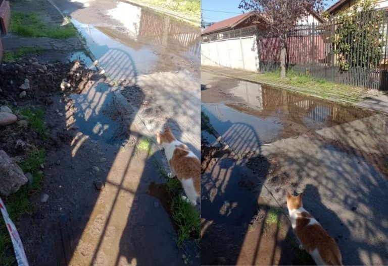 fuga de agua en maipu