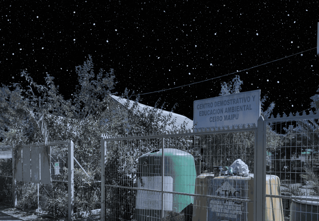 Ceibo Planetario En Tu Barrio