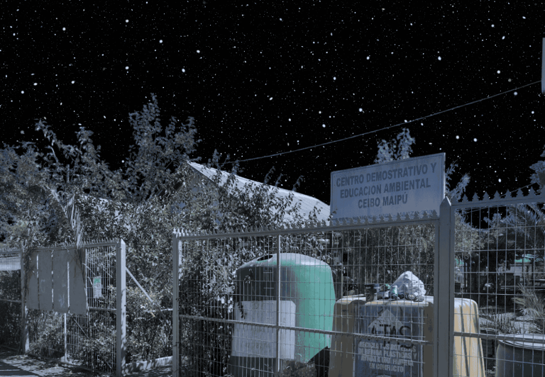 Ceibo Planetario En Tu Barrio