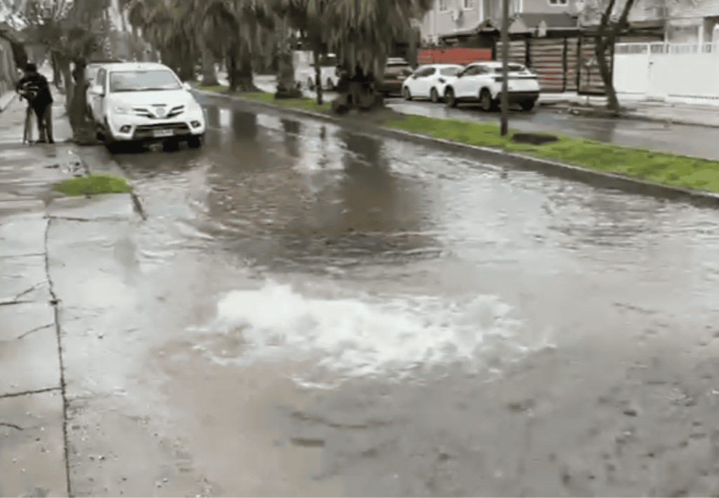 Imagen destacada