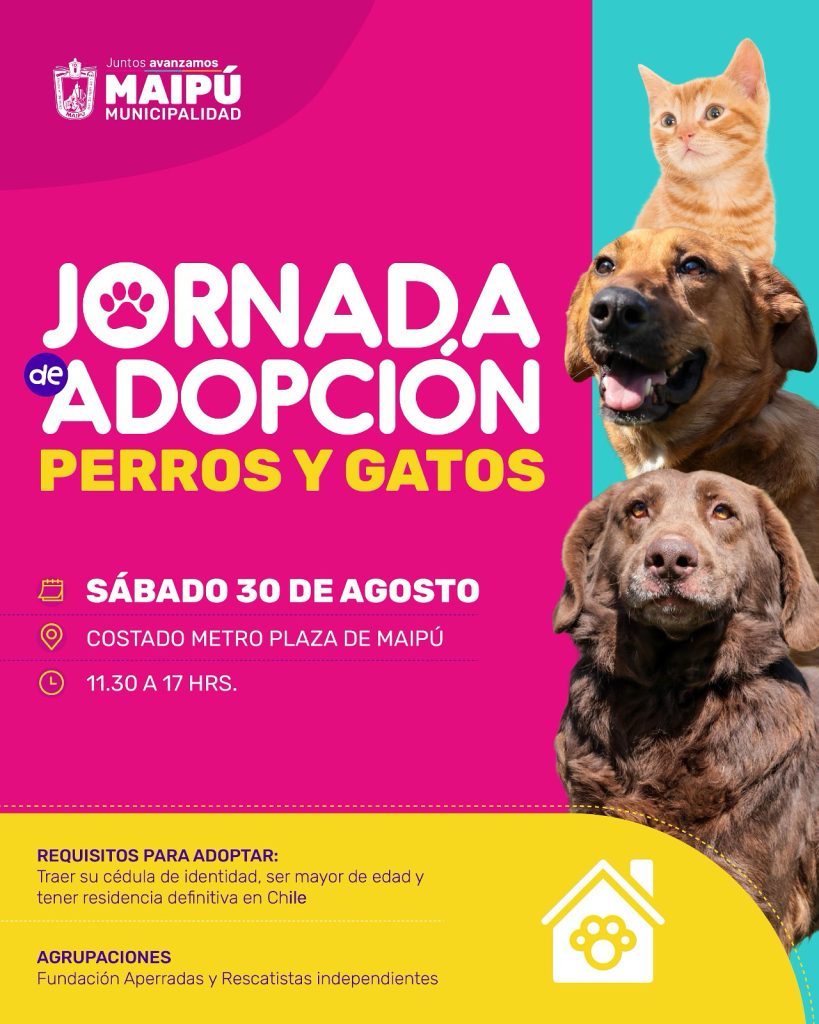Nueva jornada de adopción de mascotas en Maipú: perros y gatos buscan un hogar este sábado 1 jornada de adopción
