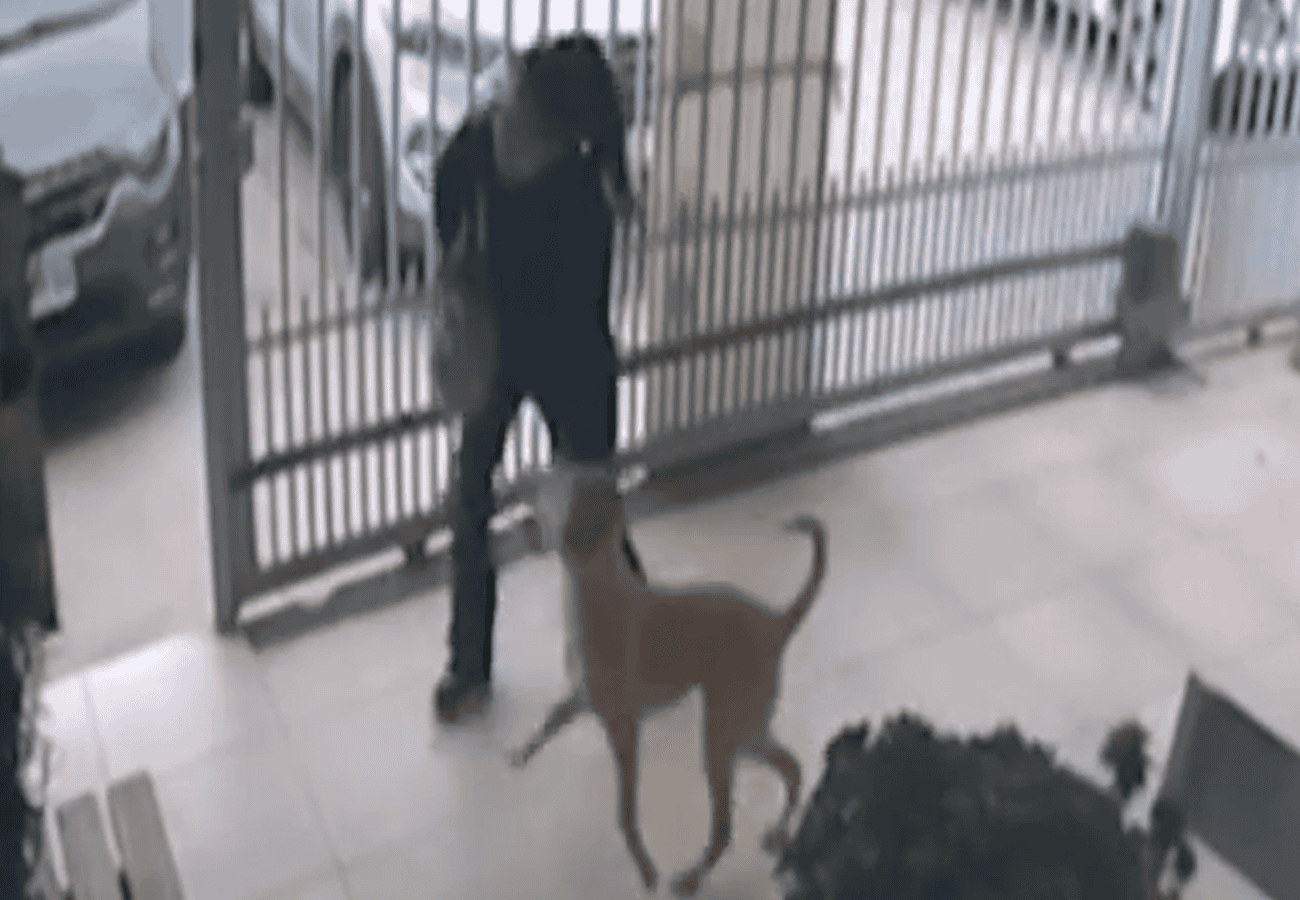 [VIDEO] Mujer abandonó a su perro en clínica veterinaria de Maipú: «No estoy trabajando y no tenía ayuda»