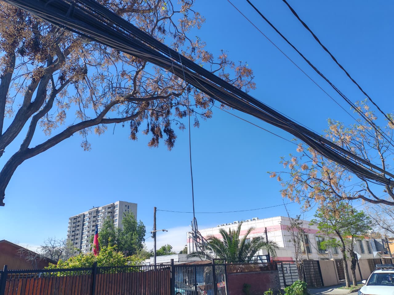 Ley Chao Cables Manuel Rodríguez