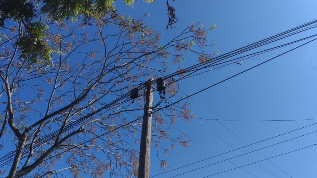 Ley Chao Cables O'Higgins