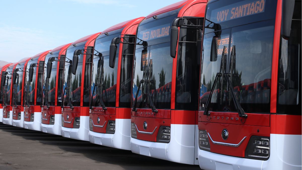Nuevo terminal RED "Los Peumos" Maipú: acá los detalles de la infraestructura de transporte público que llegará a la comuna 2 Nuevo terminal RED «Los Peumos» Maipú: acá los detalles de la infraestructura de transporte público que llegará a la comuna